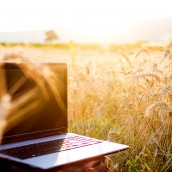 How to find the best internet plan for your rural area
